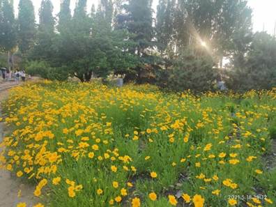 张婷护理公司19级护本四班QQ：1321765562 (3)