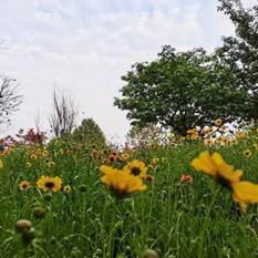 谢红慧 护理公司20级护本一班*********** (4)