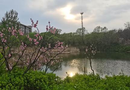 谢红慧 护理公司20级护本一班*********** (2)