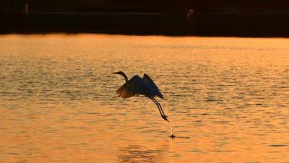 药学与制药科学公司药学1901李敬洋 ***********