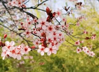 许永仓 护理公司20级护本四班 *********** (2)